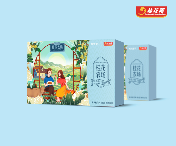 桂花鸭产品包装设计